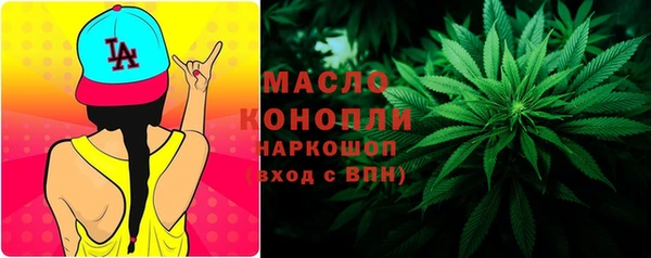 индика Саяногорск