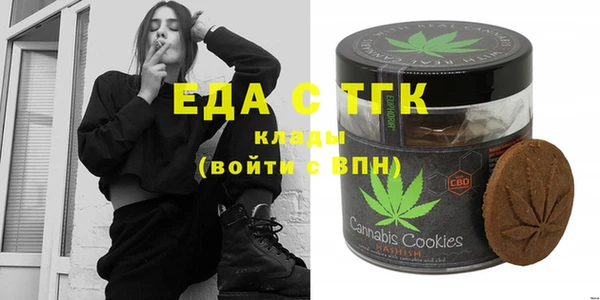 индика Саяногорск