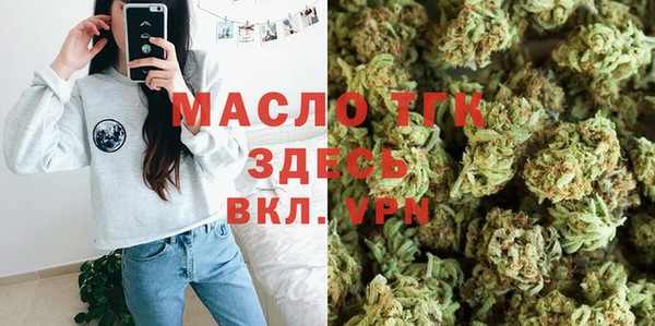 индика Саяногорск