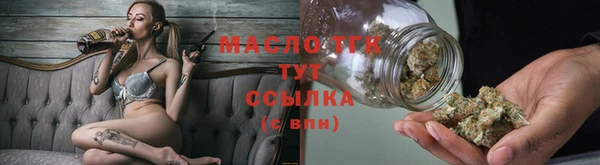 индика Саяногорск