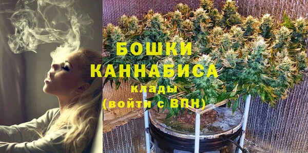индика Саяногорск