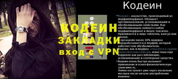 индика Саяногорск