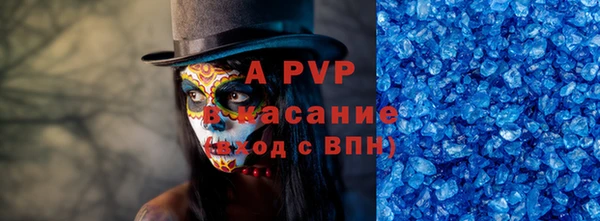 индика Саяногорск