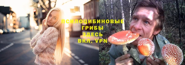 герыч Сафоново