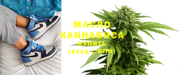 индика Саяногорск