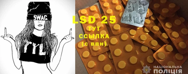 индика Саяногорск