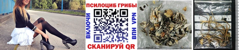 Галлюциногенные грибы прущие грибы  Ленинградская 